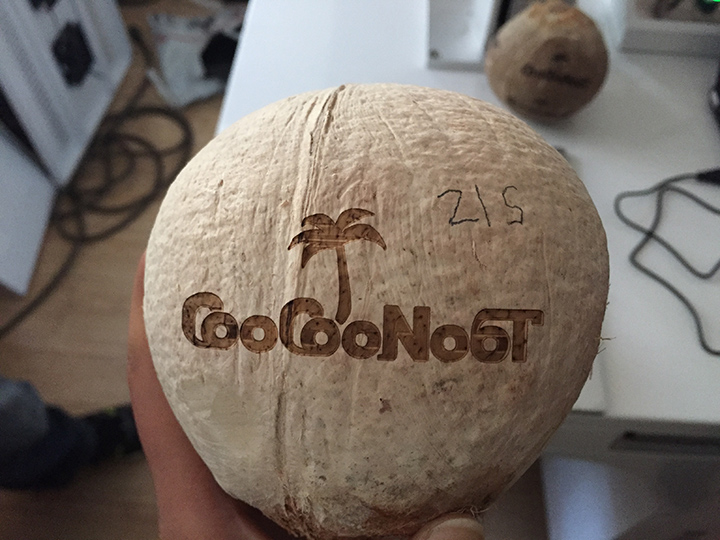 Price Coconut carbon dioxide laser fruit marking machine